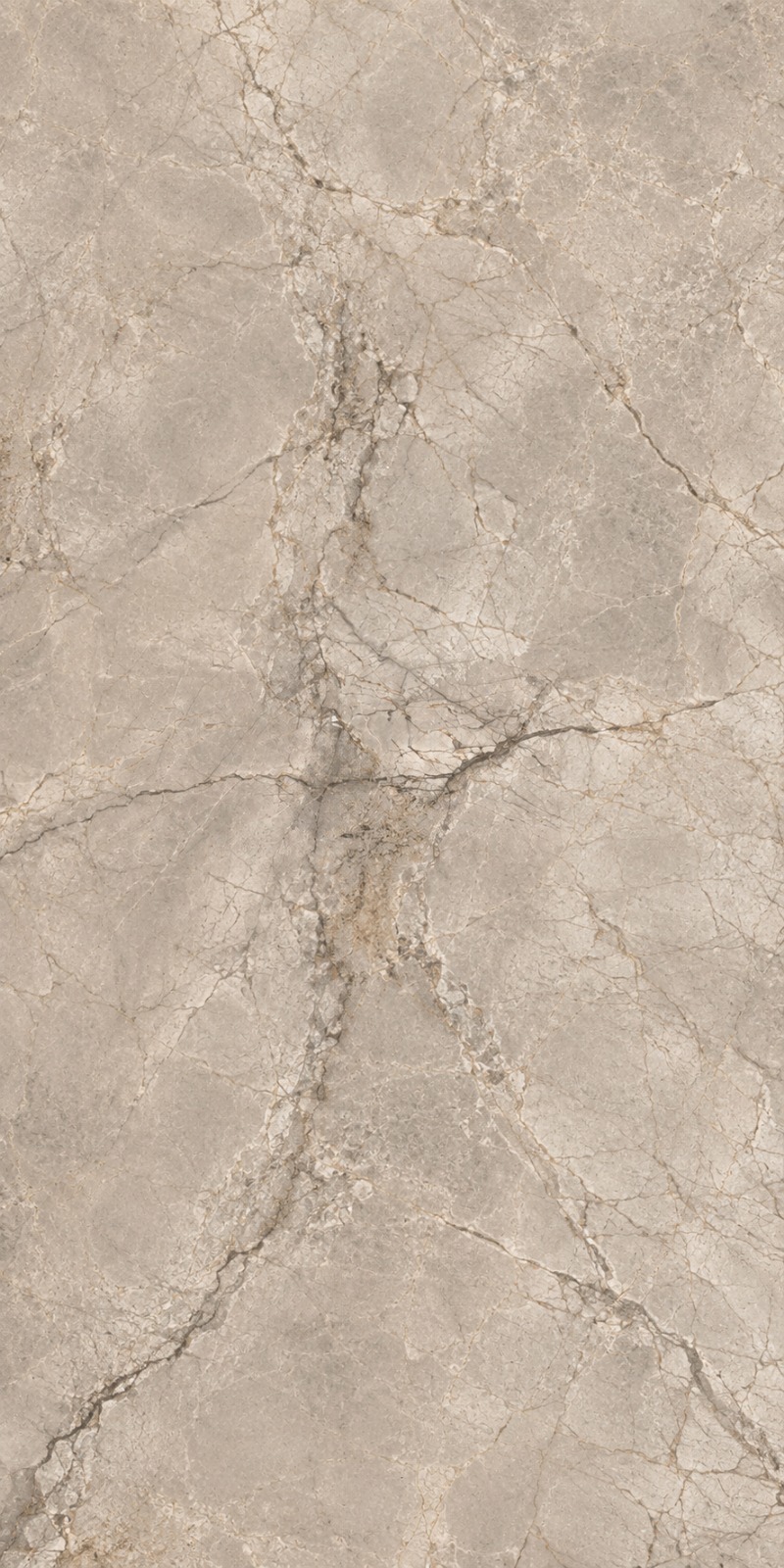 EarthVein Taupe Polished