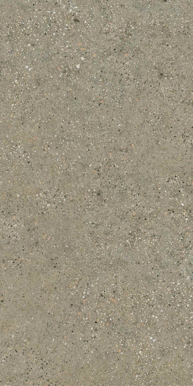 Screed Grey Concerta